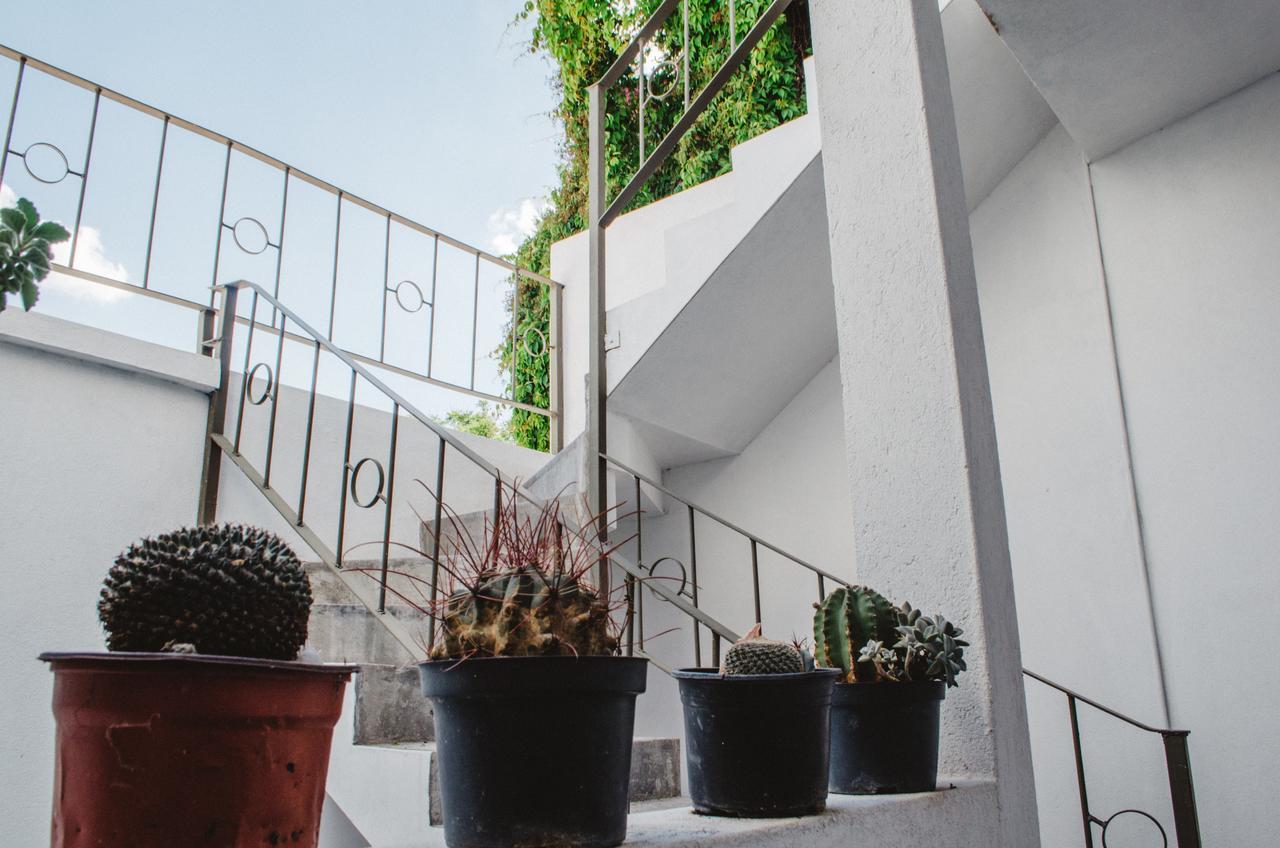 Casa Mariel Hotel San Luis Potosí Exterior foto